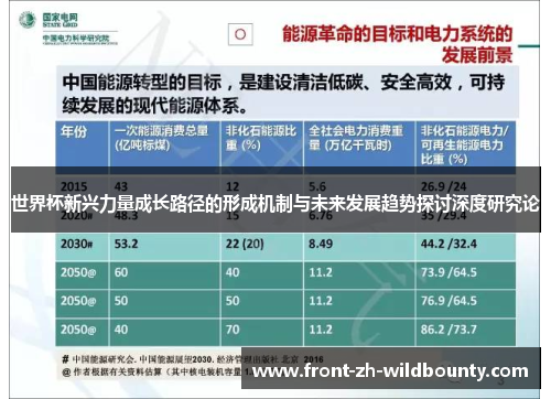 世界杯新兴力量成长路径的形成机制与未来发展趋势探讨深度研究论