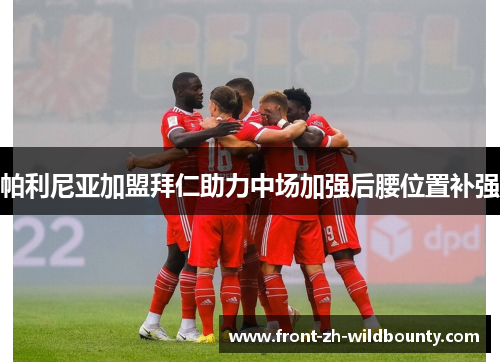 帕利尼亚加盟拜仁助力中场加强后腰位置补强