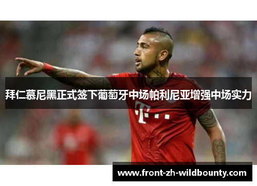 拜仁慕尼黑正式签下葡萄牙中场帕利尼亚增强中场实力 拜仁慕尼黑正式签下葡萄牙中场帕利尼亚增强中场实力